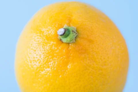 Single lemon on a blue background Fotos Stock