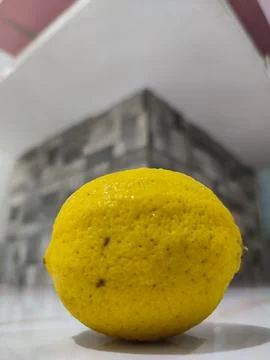 Single lemon rests on clean surface Stock Photos