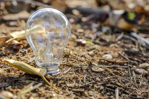 The single light bulb on earth Stock Photos