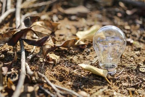 The single light bulb on earth Stock Photos