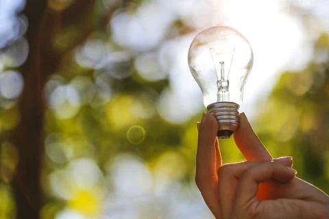 The single light bulb on the hand. Foto stock