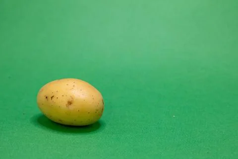 A single, light-skinned potato is centered on a bright green background, pres Foto stock