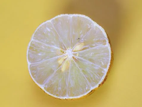 Single lime slice isolated on yellow background Stock Photos