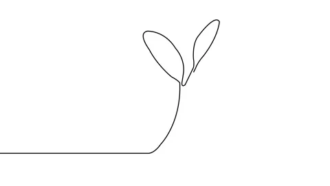 Single Line Animation Tree Stock Footage 310416964