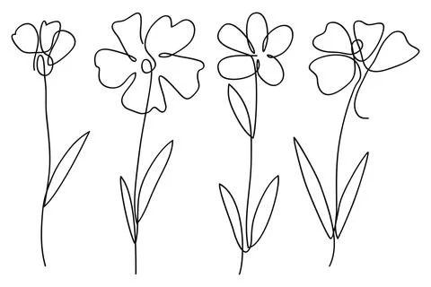 Single line art vector flower illustration collection.One continuous line a.. Stock Illustration