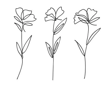 Single line art vector flower illustration collection. Stock Illustration