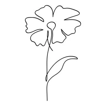 Single line art vector flower illustration.One continuous line art.Vector i.. Stock Illustration