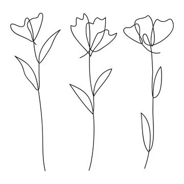 Single line art vector flower illustration collection. Stock Illustration