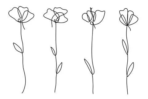 Single line art vector flower illustration collection.One continuous line art Stock Illustration