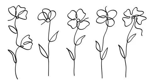 Single line art vector flower illustration collection.One continuous line a.. Stock Illustration