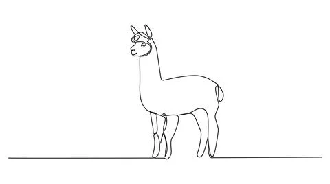 Single line drawing of an alpaca Stock Illustration
