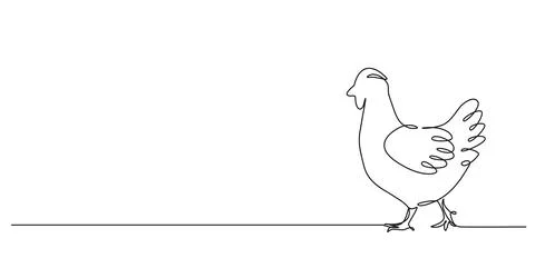 Single line drawing of a chicken Stock-Illustration