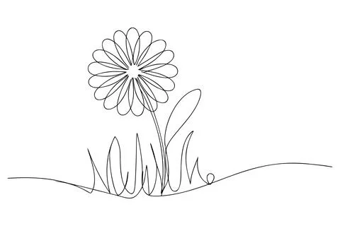 Single line drawing of a daisy flower with grass line art Stock-Illustration