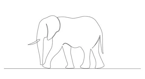 Single line drawing of elephant isolated on white Illustrazione stock