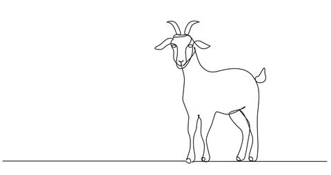 Single line drawing of a goat Stock Illustration