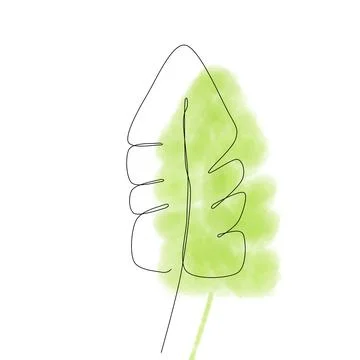 A single line drawing of a green leaf. Continuous line drawing of leaf Stock Illustration