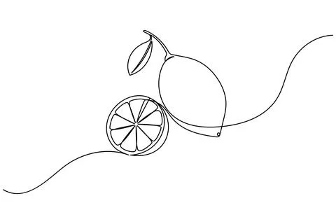 Single line drawing of lemon and slice Stock Illustration