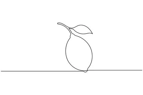 Single line drawing of a lemon with leaf Stock Illustration