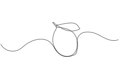 Single line drawing of a lemon with leaf Stock Illustration