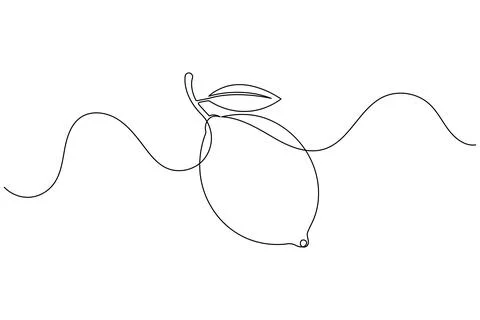 Single line drawing of lemon with leaf Stock Illustration