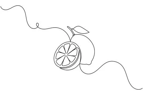 Single line drawing of lemon with slice Stock Illustration