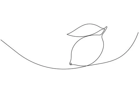 Single line drawing of lemon on white background Stock Illustration