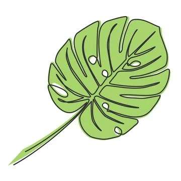 Single line drawing of monstera leaf Illustrazione stock