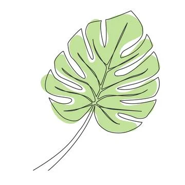 Single line drawing of monstera leaf Illustrazione stock