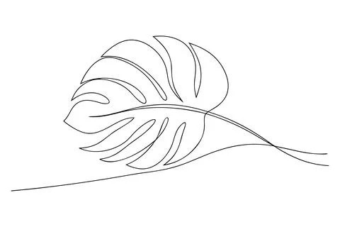 Single line drawing of a monstera leaf line art outline Stock Illustration