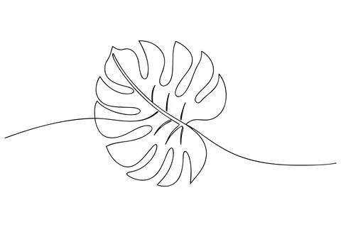 Single line drawing monstera leaf abstract continuous line Stock Illustration