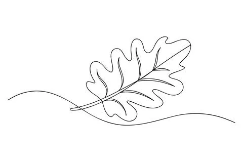 Single line drawing of an oak leaf with stem continuous line Stock-Illustration