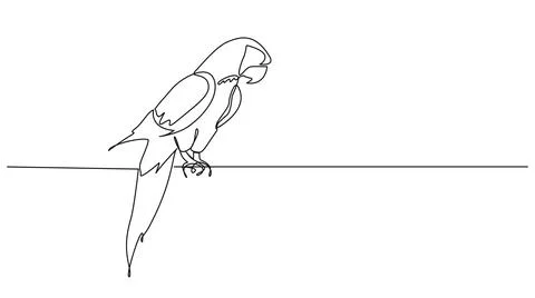 Single line drawing of a parrot Stock-Illustration