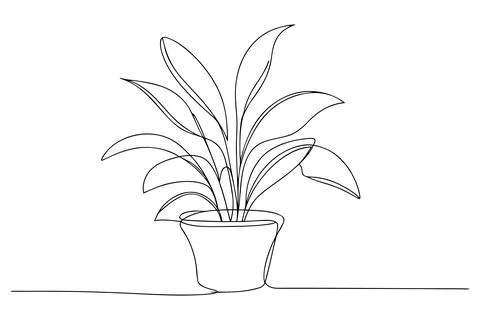 Single line drawing of a potted plant with large leaves Stock Illustration