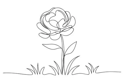 Single line drawing of a rose flower with leaves and grass Stock Illustration