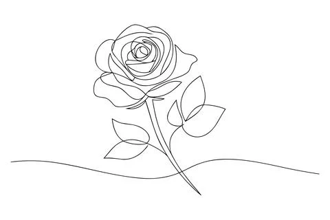Single line drawing of a rose with leaves flower continuous line Stock-Illustration