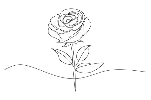 Single line drawing of a rose with leaves flower continuous line Stock Illustration