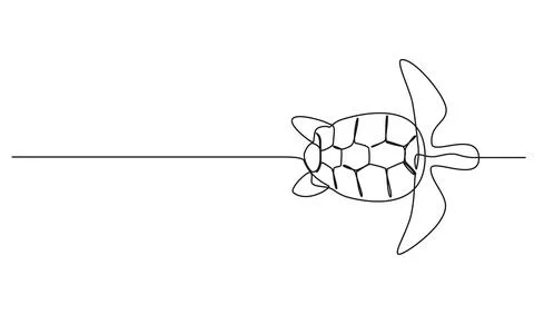 Single line drawing of sea turtle イラスト素材