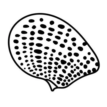 Single-line seashell drawing in high-quality vector format. Illustrazione stock