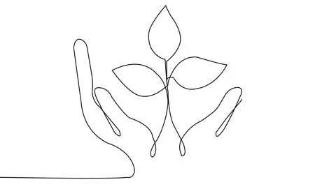 Single Line Tree Animation Stock Footage 310417115