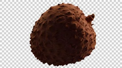 Single lychee fruit isolated on transparent PNG background Illustrazione stock