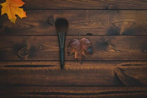 Single makeup brush with a leaf on a brown background. Stock Photos