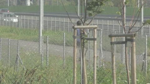 A single man jogging next to a motorway Video stock 63743050