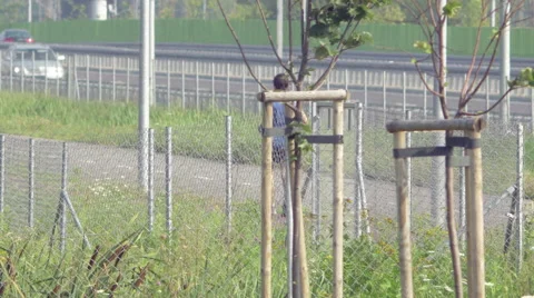 A single man jogging next to a motorway Video stock 63761518