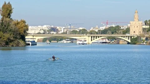 A single man rowing boat in the centre of Seville, Spain Stock Footage 71982231