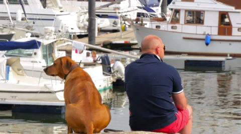 Single man sitting with his dog in the boat harbor Video stock 39954005