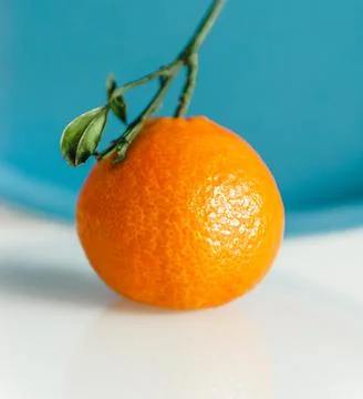 Single mandarin Stock Photos
