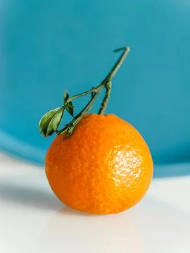 Single mandarin Stock Photos
