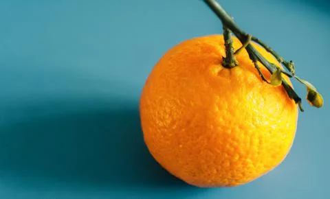 Single mandarin Stock Photos