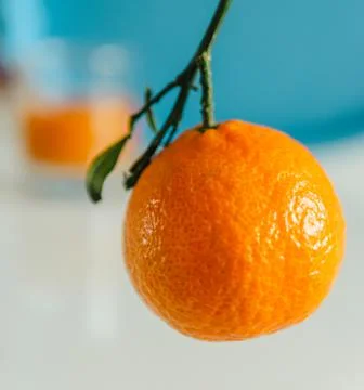Single mandarin Stock Photos