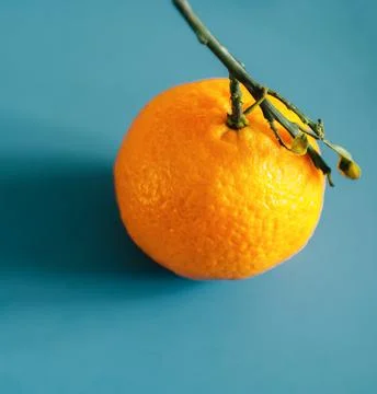Single mandarin Stock Photos
